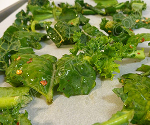 Oven Baked Kale Chips - By happystove.com